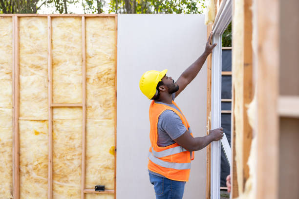 Best Fiberglass Insulation  in Lago Vista, TX