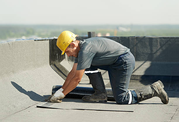 Best Spray Foam Insulation  in Lago Vista, TX