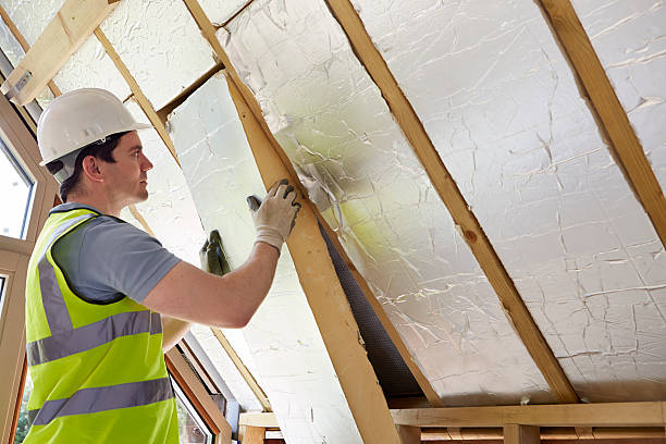 Best Insulation Contractor Near Me  in Lago Vista, TX