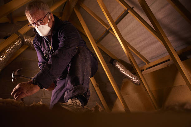 Best Insulation for New Construction  in Lago Vista, TX