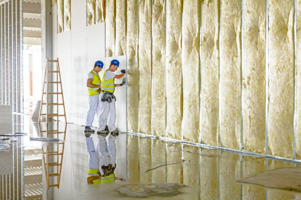 Best Residential Insulation Services  in Lago Vista, TX